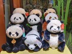 -轩客会(熊猫书店)