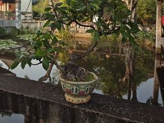 -朱家花园