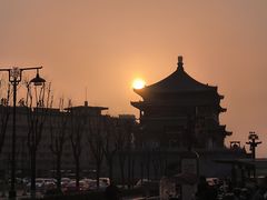 -魏家凉皮(西安秋林宏业商厦店)
