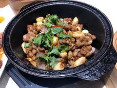 生嗜生肠-泮金大塘(北二七路店)