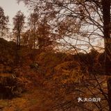 2021盼望已久的香雪公园梅花终于盛开啦[加油][加油][加油]