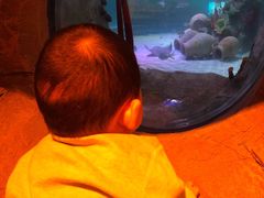 -沈阳海洋探索中心