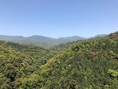 -九龙江国家森林公园