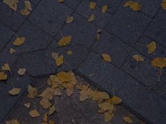 -秋叶原电器街