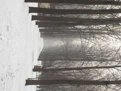顺鑫绿色度假村-顺鑫绿色度假村