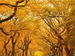 -佛山市图书馆(祖庙路分馆)