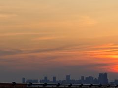 -合肥滨湖国家森林公园