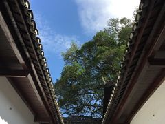 -井冈山风景名胜区-黄洋界