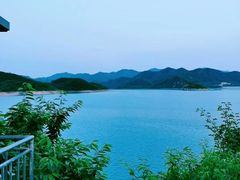 -望湖烤鱼