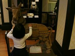 -信不信由你博物馆