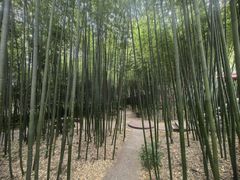 -泰山风景名胜区-普照寺