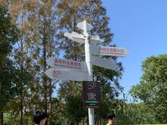 -上海国际音乐村