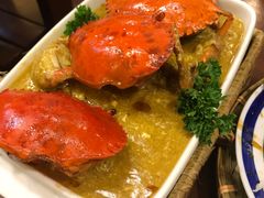 -茉莉.Red Crab