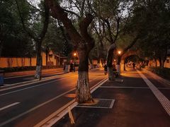 -颐和路民国时期公馆风貌区