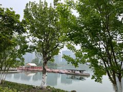 -金沙湖公园