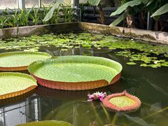 -国家植物园南园