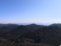 -武陵山森林公园