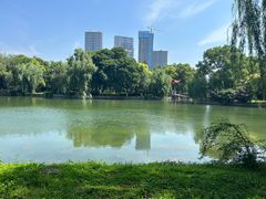 -沙市市中山公园