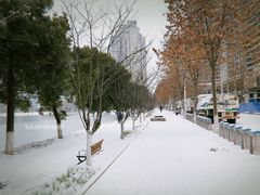 -西北湖绿化广场