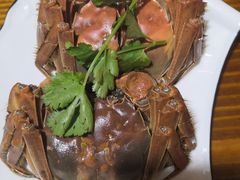 -呼吸森林·生态农庄农家乐私房菜