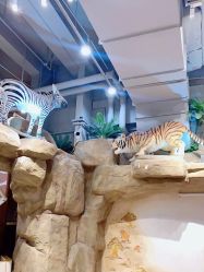 -鲁比猴非洲探索部落(喜盈门店)