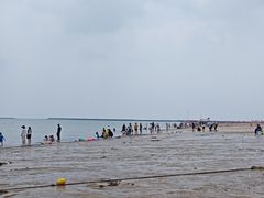 -东疆理想海岸沙滩景区