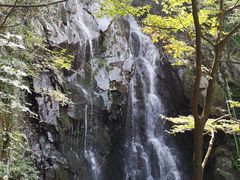 -藏龙百瀑风景区