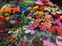 -双季花艺园艺市场(浦东店)