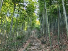 -莫干山风景区