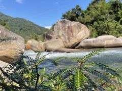 -海南热带雨林国家公园吊罗山景区