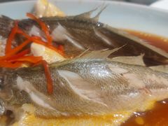 -前海沿·青岛菜(乐客城店)