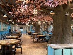 -宝燕乐园(闵行旗舰店)