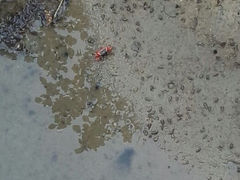 android_upload_pic-北海金海湾红树林生态旅游区