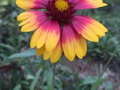 -白鹭湾湿地公园