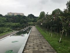 -西南政法大学(渝北校区)