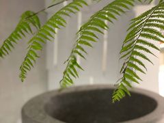 -二酉书店TOYOU BOOKS