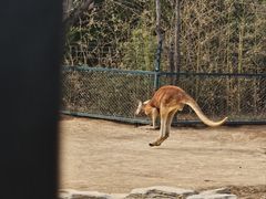 -济南野生动物世界