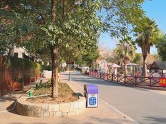 -灵玲国际马戏城