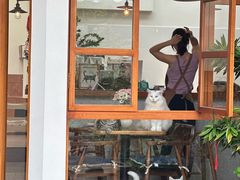 -有猫主题·治愈系猫咖(曾厝垵店)