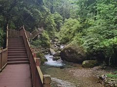 -瓦屋山景区