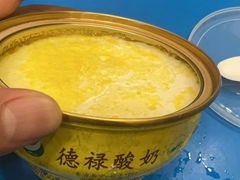 -德禄酸奶(莫家街店)