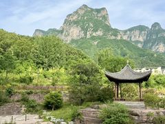 -王莽岭风景区