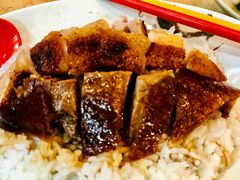 烧鹅-一乐烧鹅(中环店)