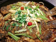 -老板恋上鱼(恒隆广场店)