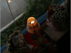 -Babycat私家御饼屋(龙头路一店)