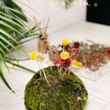 🌲🌱🍃#JNBY温室创意展