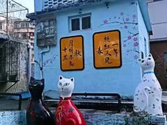 -猫咪博物馆(顶澳仔猫街店)