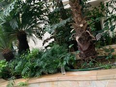 -大东方海鲜酒楼(小武基桥店)