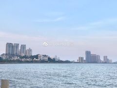 -观澳平台
