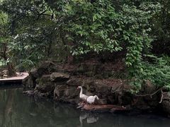 -兰亭风景区